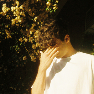 国产导航精品大全
